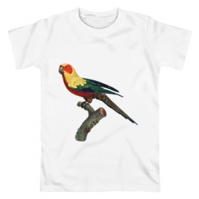 Мужская футболка хлопок с принтом Попугай. Аратинга. в Курске, 100% хлопок | прямой крой, круглый вырез горловины, длина до линии бедер, слегка спущенное плечо. | аратинга | бразилия | зоозащита | попугаи | попугайчики | природа | птица | птицы | солнечный
