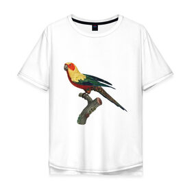 Мужская футболка хлопок Oversize с принтом Попугай. Аратинга. в Курске, 100% хлопок | свободный крой, круглый ворот, “спинка” длиннее передней части | аратинга | бразилия | зоозащита | попугаи | попугайчики | природа | птица | птицы | солнечный