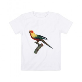 Детская футболка хлопок с принтом Попугай. Аратинга. в Курске, 100% хлопок | круглый вырез горловины, полуприлегающий силуэт, длина до линии бедер | аратинга | бразилия | зоозащита | попугаи | попугайчики | природа | птица | птицы | солнечный