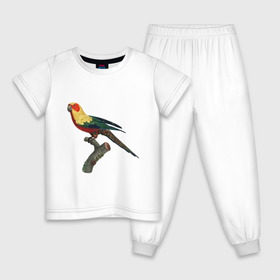 Детская пижама хлопок с принтом Попугай. Аратинга. в Курске, 100% хлопок |  брюки и футболка прямого кроя, без карманов, на брюках мягкая резинка на поясе и по низу штанин
 | аратинга | бразилия | зоозащита | попугаи | попугайчики | природа | птица | птицы | солнечный