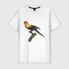 Мужская футболка премиум с принтом Попугай. Аратинга. в Курске, 92% хлопок, 8% лайкра | приталенный силуэт, круглый вырез ворота, длина до линии бедра, короткий рукав | Тематика изображения на принте: аратинга | бразилия | зоозащита | попугаи | попугайчики | природа | птица | птицы | солнечный