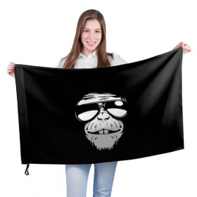 Флаг 3D с принтом Крутая обезьяна в Курске, 100% полиэстер | плотность ткани — 95 г/м2, размер — 67 х 109 см. Принт наносится с одной стороны | в очках | обезьяна | обезьянка | очки