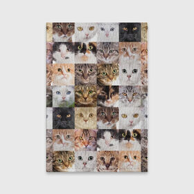 Обложка для паспорта матовая кожа с принтом Кошачий коллаж в Курске, натуральная матовая кожа | размер 19,3 х 13,7 см; прозрачные пластиковые крепления | breed | cat | cats | collage | eyes | fluffy | funny | kitten | look | meow | mustache | muzzle | photo | squares | взгляд | глаза | квадраты | коллаж | кот | котёнок | котики | кошка | мяу | порода | прикольный | пушистый | усы | фото