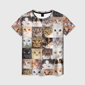 Женская футболка 3D с принтом Кошачий коллаж в Курске, 100% полиэфир ( синтетическое хлопкоподобное полотно) | прямой крой, круглый вырез горловины, длина до линии бедер | breed | cat | cats | collage | eyes | fluffy | funny | kitten | look | meow | mustache | muzzle | photo | squares | взгляд | глаза | квадраты | коллаж | кот | котёнок | котики | кошка | мяу | порода | прикольный | пушистый | усы | фото
