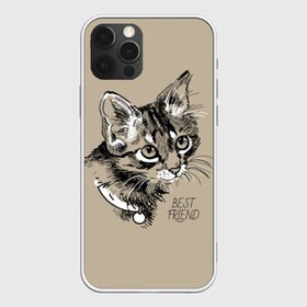 Чехол для iPhone 12 Pro Max с принтом Best friend в Курске, Силикон |  | attractive face | cat | collar | cute | drawing | funny | kitten | mustache | touching | забавный | кот | котёнок | милый | ошейник | рисунок | трогательный | усы