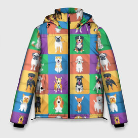 Мужская зимняя куртка 3D с принтом Забавные собаки в Курске, верх — 100% полиэстер; подкладка — 100% полиэстер; утеплитель — 100% полиэстер | длина ниже бедра, свободный силуэт Оверсайз. Есть воротник-стойка, отстегивающийся капюшон и ветрозащитная планка. 

Боковые карманы с листочкой на кнопках и внутренний карман на молнии. | Тематика изображения на принте: breed | bright | chihuahua | dog | funny | husky | labrador | multicolored | pit bu | poodle | pug | puppy | rottweiler | sheepdog | долматинец | китайская хохлатая | колли | лабрадор | мопс | овчарка | пёс | порода | прикольный | псина | пудель | разноцв