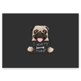 Поздравительная открытка с принтом I need my “reward” в Курске, 100% бумага | плотность бумаги 280 г/м2, матовая, на обратной стороне линовка и место для марки
 | animal | breed | dog | eyes | funny | gray | look | muzzle | pug | slogan | text | взгляд | глаза | животное | забавный | мопс | порода | серый | слоган | собака | текст