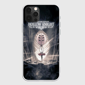 Чехол для iPhone 12 Pro Max с принтом Hollow Knight в Курске, Силикон |  | 3d | hollow knight | hornet | игра | полый рыцарь | текстура | холлоу найт