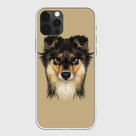 Чехол для iPhone 12 Pro Max с принтом Sheltie в Курске, Силикон |  | Тематика изображения на принте: animal | black | breed | brown | cute | dog | drawing | eyes | kind | look | muzzle | portrait | red | взгляд | глаза | добрый | животное | коричневый | милый | пёс | порода | портрет | рисунок | рыжий | собака | черный | шелти