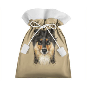 Подарочный 3D мешок с принтом Sheltie в Курске, 100% полиэстер | Размер: 29*39 см | animal | black | breed | brown | cute | dog | drawing | eyes | kind | look | muzzle | portrait | red | взгляд | глаза | добрый | животное | коричневый | милый | пёс | порода | портрет | рисунок | рыжий | собака | черный | шелти