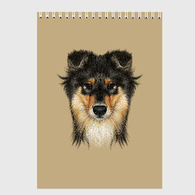 Скетчбук с принтом Sheltie в Курске, 100% бумага
 | 48 листов, плотность листов — 100 г/м2, плотность картонной обложки — 250 г/м2. Листы скреплены сверху удобной пружинной спиралью | Тематика изображения на принте: animal | black | breed | brown | cute | dog | drawing | eyes | kind | look | muzzle | portrait | red | взгляд | глаза | добрый | животное | коричневый | милый | пёс | порода | портрет | рисунок | рыжий | собака | черный | шелти