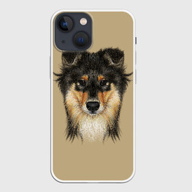 Чехол для iPhone 13 mini с принтом Sheltie в Курске,  |  | animal | black | breed | brown | cute | dog | drawing | eyes | kind | look | muzzle | portrait | red | взгляд | глаза | добрый | животное | коричневый | милый | пёс | порода | портрет | рисунок | рыжий | собака | черный | шелти
