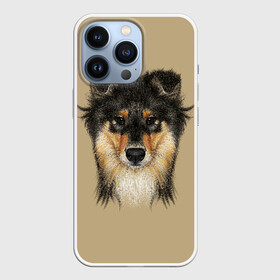 Чехол для iPhone 13 Pro с принтом Sheltie в Курске,  |  | animal | black | breed | brown | cute | dog | drawing | eyes | kind | look | muzzle | portrait | red | взгляд | глаза | добрый | животное | коричневый | милый | пёс | порода | портрет | рисунок | рыжий | собака | черный | шелти