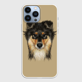 Чехол для iPhone 13 Pro Max с принтом Sheltie в Курске,  |  | animal | black | breed | brown | cute | dog | drawing | eyes | kind | look | muzzle | portrait | red | взгляд | глаза | добрый | животное | коричневый | милый | пёс | порода | портрет | рисунок | рыжий | собака | черный | шелти