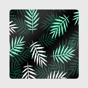 Магнит виниловый Квадрат с принтом Листья пальмы. в Курске, полимерный материал с магнитным слоем | размер 9*9 см, закругленные углы | 3d | green | leaves | magic | pattern | tekstura | white | белые | зеленые | листья | текстура | узор