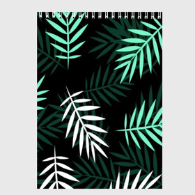 Скетчбук с принтом Листья пальмы в Курске, 100% бумага
 | 48 листов, плотность листов — 100 г/м2, плотность картонной обложки — 250 г/м2. Листы скреплены сверху удобной пружинной спиралью | Тематика изображения на принте: 3d | green | leaves | magic | pattern | tekstura | white | белые | зеленые | листья | текстура | узор