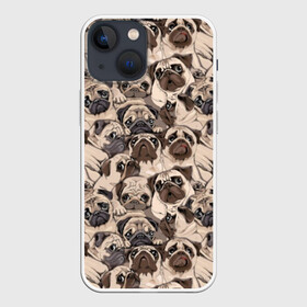 Чехол для iPhone 13 mini с принтом Мопсы в Курске,  |  | animal | attractive face | breed | cute | dog | eyes | funny | look | pug | puppy | взгляд | глаза | животное | забавный | милый | мопс | порода | собака | щенок