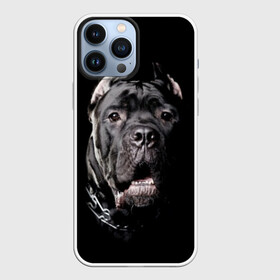 Чехол для iPhone 13 Pro Max с принтом Мастиф в Курске,  |  | animal | black | collar | dog | friend | look | man | muzzle | взгляд | друг | животное | мастиф | ошейник | пёс | собака | человека | черный