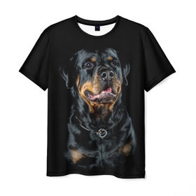 Мужская футболка 3D с принтом Ротвейлер в Курске, 100% полиэфир | прямой крой, круглый вырез горловины, длина до линии бедер | animal | black | breed | collar | dog | friend | glance | gloss | man | muzzle | rottweiler | взгляд | друг | животное | лоск | ошейник | пёс | порода | ротвейлер | собака | человека | черный