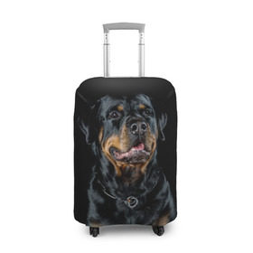 Чехол для чемодана 3D с принтом Ротвейлер в Курске, 86% полиэфир, 14% спандекс | двустороннее нанесение принта, прорези для ручек и колес | Тематика изображения на принте: animal | black | breed | collar | dog | friend | glance | gloss | man | muzzle | rottweiler | взгляд | друг | животное | лоск | ошейник | пёс | порода | ротвейлер | собака | человека | черный