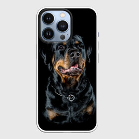 Чехол для iPhone 13 Pro с принтом Ротвейлер в Курске,  |  | animal | black | breed | collar | dog | friend | glance | gloss | man | muzzle | rottweiler | взгляд | друг | животное | лоск | ошейник | пёс | порода | ротвейлер | собака | человека | черный