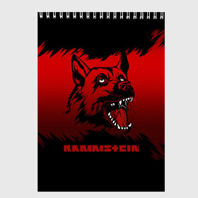 Скетчбук с принтом Rammstein dog в Курске, 100% бумага
 | 48 листов, плотность листов — 100 г/м2, плотность картонной обложки — 250 г/м2. Листы скреплены сверху удобной пружинной спиралью | 2019 | dog | du hast | german | lindemann | rammstein | rammsteinfan | ramstein | till | группы | линдеманн | метал | музыка | овчарка | рамштаин | рамштайн | рамштейн | рок | собака | тилль | тиль