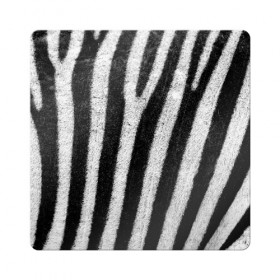 Магнит виниловый Квадрат с принтом Zebra Skin в Курске, полимерный материал с магнитным слоем | размер 9*9 см, закругленные углы | animal | black | black white | pattern. | skin | streaks | texture | white | zebra | белый | животное | животные | зебра | полосы | текстура | узор | чёрно белые | чёрный