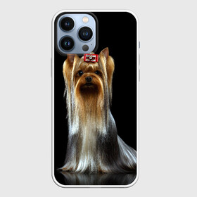 Чехол для iPhone 13 Pro Max с принтом Йоркширский терьер в Курске,  |  | Тематика изображения на принте: animal | barrette | breed | cute | dog | funny | muzzle | small | terrier | yorkshire | животное | забавный | заколка | йоркширский | маленький | милый | порода | смешной | собака | терьер