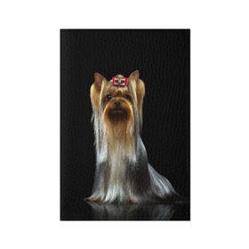 Обложка для паспорта матовая кожа с принтом Йоркширский терьер в Курске, натуральная матовая кожа | размер 19,3 х 13,7 см; прозрачные пластиковые крепления | animal | barrette | breed | cute | dog | funny | muzzle | small | terrier | yorkshire | животное | забавный | заколка | йоркширский | маленький | милый | порода | смешной | собака | терьер