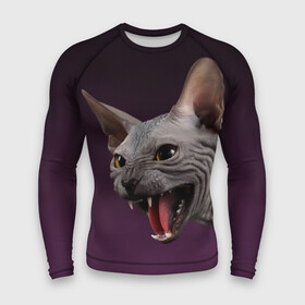 Мужской рашгард 3D с принтом Сфинкс в Курске,  |  | aggressive | angry | animal | bald | breed | cat | dangerous | fangs | gray | purple | sphinx | агрессивный | животное | злой | клыки | кот | лысый | опасный | порода | серый | сфинкс | фиолетовый