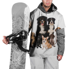 Накидка на куртку 3D с принтом Породистые собаки в Курске, 100% полиэстер |  | Тематика изображения на принте: animal | bernese | breed | bulldog | corgi | cute | dog | french | funny | jack | labrador | mountain dog | muzzle | paws | pug | puppy | spaniel | бернский | бульдог | джек рассел | животное | забавный | зенненхунд | корги | лабрадор | лапы | милый
