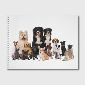 Альбом для рисования с принтом Породистые собаки в Курске, 100% бумага
 | матовая бумага, плотность 200 мг. | animal | bernese | breed | bulldog | corgi | cute | dog | french | funny | jack | labrador | mountain dog | muzzle | paws | pug | puppy | spaniel | бернский | бульдог | джек рассел | животное | забавный | зенненхунд | корги | лабрадор | лапы | милый