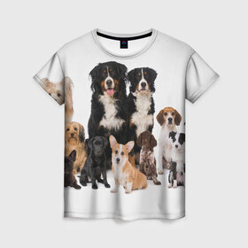Женская футболка 3D с принтом Породистые собаки в Курске, 100% полиэфир ( синтетическое хлопкоподобное полотно) | прямой крой, круглый вырез горловины, длина до линии бедер | Тематика изображения на принте: animal | bernese | breed | bulldog | corgi | cute | dog | french | funny | jack | labrador | mountain dog | muzzle | paws | pug | puppy | spaniel | бернский | бульдог | джек рассел | животное | забавный | зенненхунд | корги | лабрадор | лапы | милый