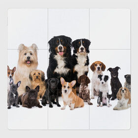 Магнитный плакат 3Х3 с принтом Породистые собаки в Курске, Полимерный материал с магнитным слоем | 9 деталей размером 9*9 см | Тематика изображения на принте: animal | bernese | breed | bulldog | corgi | cute | dog | french | funny | jack | labrador | mountain dog | muzzle | paws | pug | puppy | spaniel | бернский | бульдог | джек рассел | животное | забавный | зенненхунд | корги | лабрадор | лапы | милый