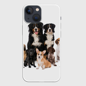 Чехол для iPhone 13 mini с принтом Породистые собаки в Курске,  |  | animal | bernese | breed | bulldog | corgi | cute | dog | french | funny | jack | labrador | mountain dog | muzzle | paws | pug | puppy | spaniel | бернский | бульдог | джек рассел | животное | забавный | зенненхунд | корги | лабрадор | лапы | милый