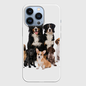 Чехол для iPhone 13 Pro с принтом Породистые собаки в Курске,  |  | animal | bernese | breed | bulldog | corgi | cute | dog | french | funny | jack | labrador | mountain dog | muzzle | paws | pug | puppy | spaniel | бернский | бульдог | джек рассел | животное | забавный | зенненхунд | корги | лабрадор | лапы | милый