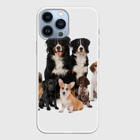Чехол для iPhone 13 Pro Max с принтом Породистые собаки в Курске,  |  | animal | bernese | breed | bulldog | corgi | cute | dog | french | funny | jack | labrador | mountain dog | muzzle | paws | pug | puppy | spaniel | бернский | бульдог | джек рассел | животное | забавный | зенненхунд | корги | лабрадор | лапы | милый