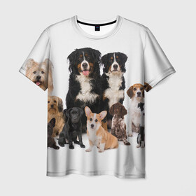 Мужская футболка 3D с принтом Породистые собаки в Курске, 100% полиэфир | прямой крой, круглый вырез горловины, длина до линии бедер | Тематика изображения на принте: animal | bernese | breed | bulldog | corgi | cute | dog | french | funny | jack | labrador | mountain dog | muzzle | paws | pug | puppy | spaniel | бернский | бульдог | джек рассел | животное | забавный | зенненхунд | корги | лабрадор | лапы | милый