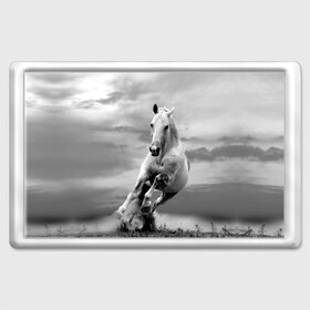 Магнит 45*70 с принтом Белая лошадь в Курске, Пластик | Размер: 78*52 мм; Размер печати: 70*45 | animal | beautiful | gloss | horse | mane | mustang | muzzle | nature | white | wild | белый | грива | дикий | животное | конь | красивый | лоск | лошадь | мустанг | природа | скакун