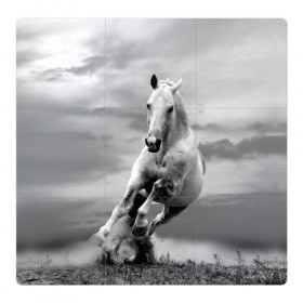 Магнитный плакат 3Х3 с принтом Белая лошадь в Курске, Полимерный материал с магнитным слоем | 9 деталей размером 9*9 см | animal | beautiful | gloss | horse | mane | mustang | muzzle | nature | white | wild | белый | грива | дикий | животное | конь | красивый | лоск | лошадь | мустанг | природа | скакун