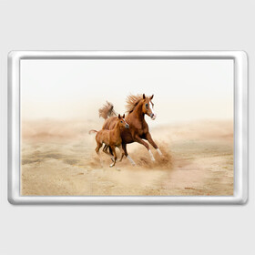 Магнит 45*70 с принтом Лошадь с жеребенком  в Курске, Пластик | Размер: 78*52 мм; Размер печати: 70*45 | animal | baby | beautiful | brown | desert | foal | horse | mustang | nature | wild | дикий | жеребенок | животное | конь | коричневый | красивый | лошадь | малыш | мустанг | природа | пустыня | скакун