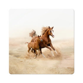 Магнит виниловый Квадрат с принтом Лошадь с жеребенком в Курске, полимерный материал с магнитным слоем | размер 9*9 см, закругленные углы | animal | baby | beautiful | brown | desert | foal | horse | mustang | nature | wild | дикий | жеребенок | животное | конь | коричневый | красивый | лошадь | малыш | мустанг | природа | пустыня | скакун