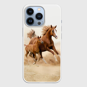 Чехол для iPhone 13 Pro с принтом Лошадь с жеребенком в Курске,  |  | animal | baby | beautiful | brown | desert | foal | horse | mustang | nature | wild | дикий | жеребенок | животное | конь | коричневый | красивый | лошадь | малыш | мустанг | природа | пустыня | скакун