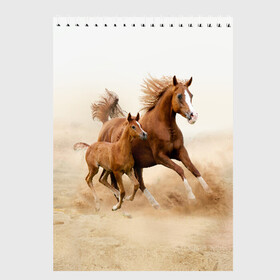 Скетчбук с принтом Лошадь с жеребенком в Курске, 100% бумага
 | 48 листов, плотность листов — 100 г/м2, плотность картонной обложки — 250 г/м2. Листы скреплены сверху удобной пружинной спиралью | animal | baby | beautiful | brown | desert | foal | horse | mustang | nature | wild | дикий | жеребенок | животное | конь | коричневый | красивый | лошадь | малыш | мустанг | природа | пустыня | скакун