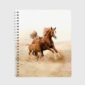 Тетрадь с принтом Лошадь с жеребенком в Курске, 100% бумага | 48 листов, плотность листов — 60 г/м2, плотность картонной обложки — 250 г/м2. Листы скреплены сбоку удобной пружинной спиралью. Уголки страниц и обложки скругленные. Цвет линий — светло-серый
 | Тематика изображения на принте: animal | baby | beautiful | brown | desert | foal | horse | mustang | nature | wild | дикий | жеребенок | животное | конь | коричневый | красивый | лошадь | малыш | мустанг | природа | пустыня | скакун