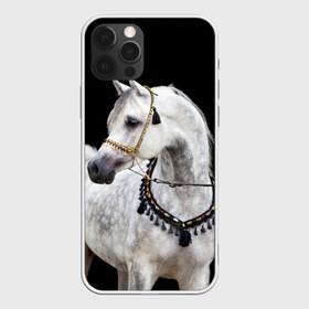 Чехол для iPhone 12 Pro Max с принтом Серый в яблоках конь в Курске, Силикон |  | animal | beautiful | black | eyes | gloss | gray | harness | horse | in apples | look | muzzle | spotted | white | белый | в яблоках | взгляд | глаза | животное | конь | красивый | лоск | лошадь | пятнистый | сбруя | серый | скакун | черный