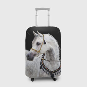 Чехол для чемодана 3D с принтом Серый в яблоках конь в Курске, 86% полиэфир, 14% спандекс | двустороннее нанесение принта, прорези для ручек и колес | animal | beautiful | black | eyes | gloss | gray | harness | horse | in apples | look | muzzle | spotted | white | белый | в яблоках | взгляд | глаза | животное | конь | красивый | лоск | лошадь | пятнистый | сбруя | серый | скакун | черный