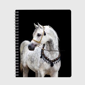 Тетрадь с принтом Серый в яблоках конь в Курске, 100% бумага | 48 листов, плотность листов — 60 г/м2, плотность картонной обложки — 250 г/м2. Листы скреплены сбоку удобной пружинной спиралью. Уголки страниц и обложки скругленные. Цвет линий — светло-серый
 | animal | beautiful | black | eyes | gloss | gray | harness | horse | in apples | look | muzzle | spotted | white | белый | в яблоках | взгляд | глаза | животное | конь | красивый | лоск | лошадь | пятнистый | сбруя | серый | скакун | черный