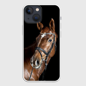 Чехол для iPhone 13 mini с принтом Гнедая лошадь в Курске,  |  | animal | beautiful | black | brown | eyes | gloss | horse | look | muscles | muzzle | portrait | взгляд | глаза | гнедая | животное | конь | коричневый | красивый | лоск | лошадь | мускулы | портрет | скакун | черный