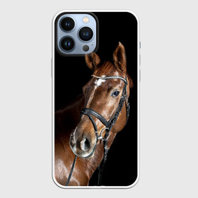 Чехол для iPhone 13 Pro Max с принтом Гнедая лошадь в Курске,  |  | animal | beautiful | black | brown | eyes | gloss | horse | look | muscles | muzzle | portrait | взгляд | глаза | гнедая | животное | конь | коричневый | красивый | лоск | лошадь | мускулы | портрет | скакун | черный